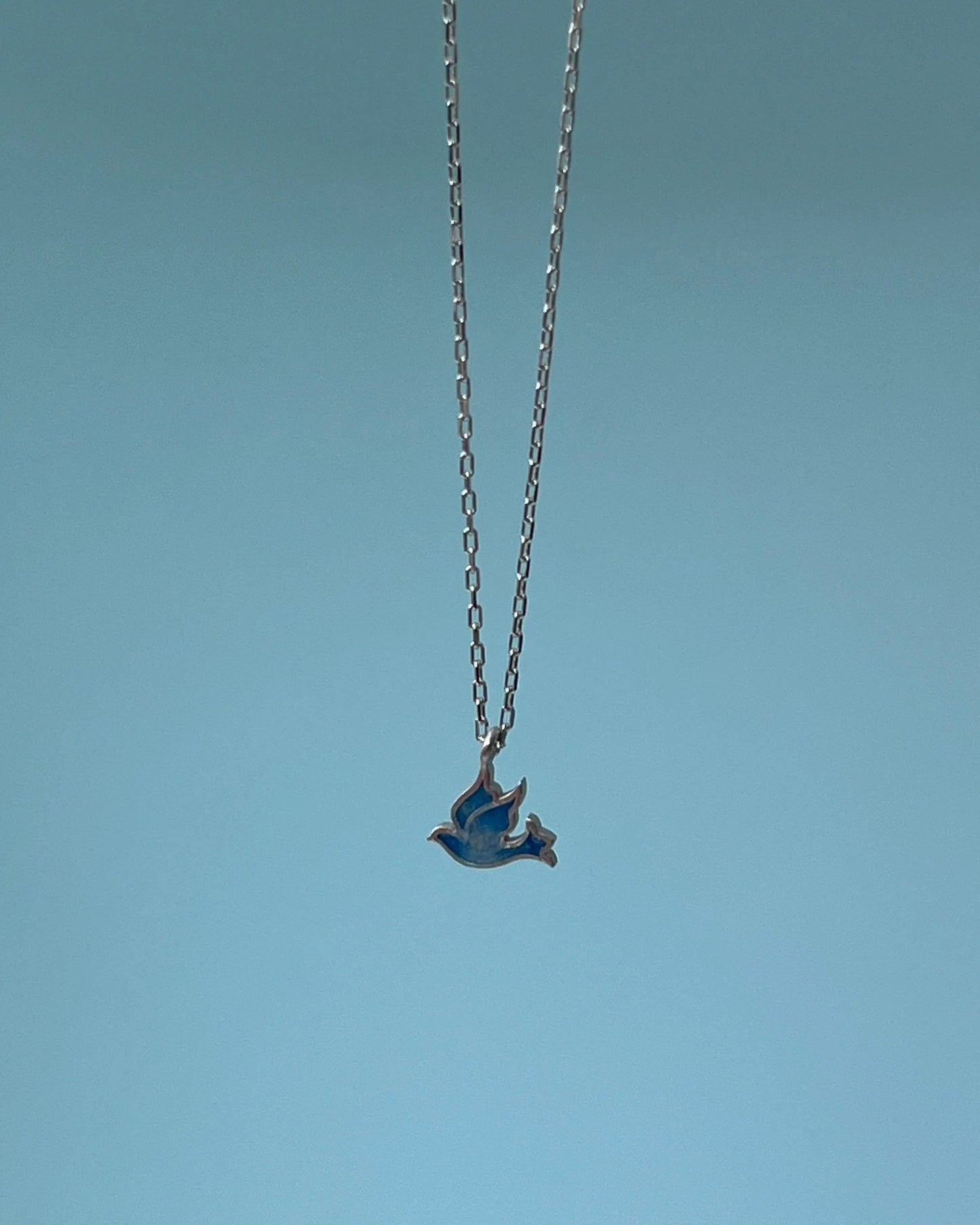 Duif Hanger Ketting | Samen tegen Diabetes